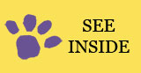 see inside