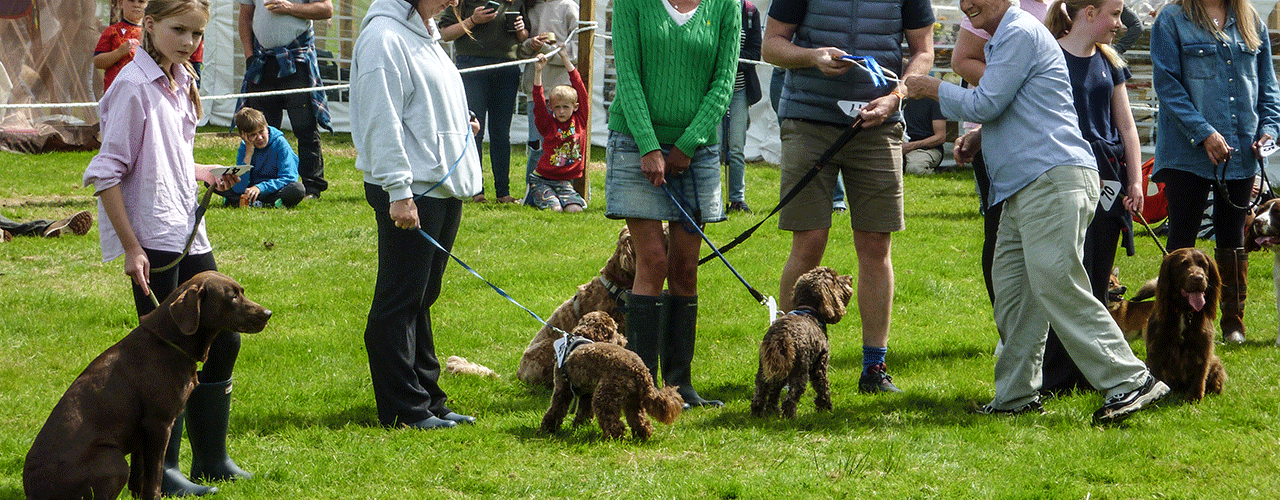 Islay Show 2025