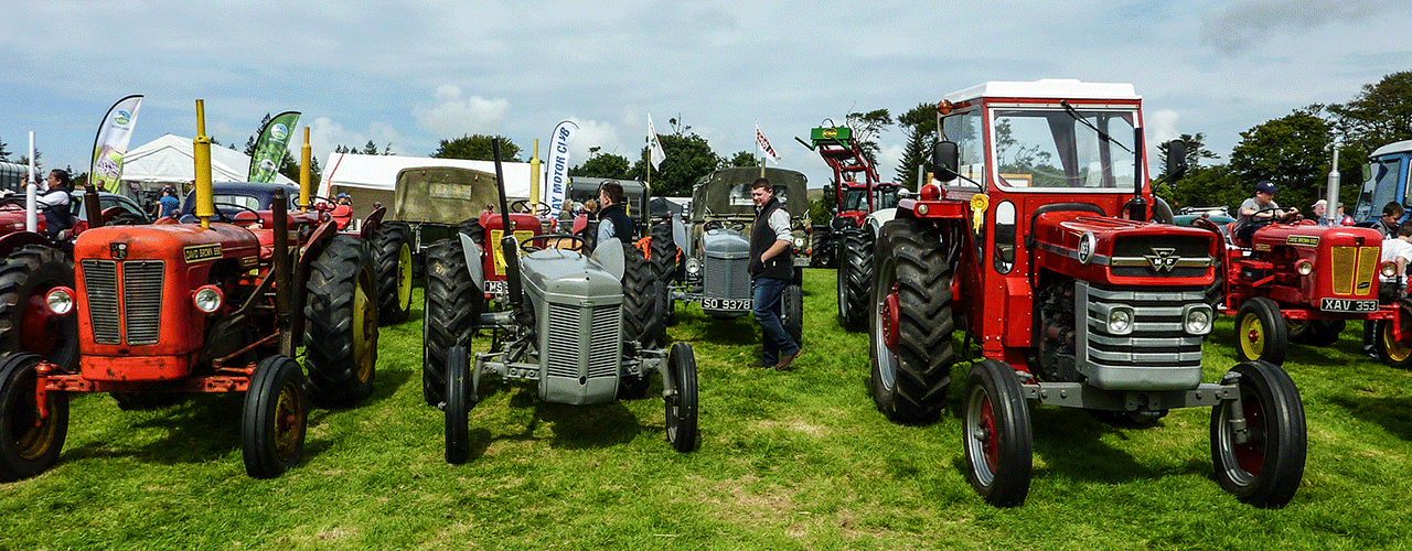 Islay Show 2025
